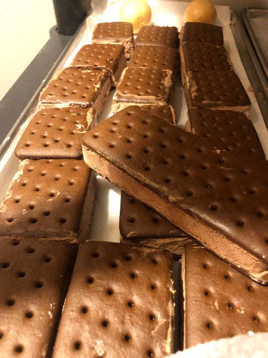 freeze dried ice cream sandwich