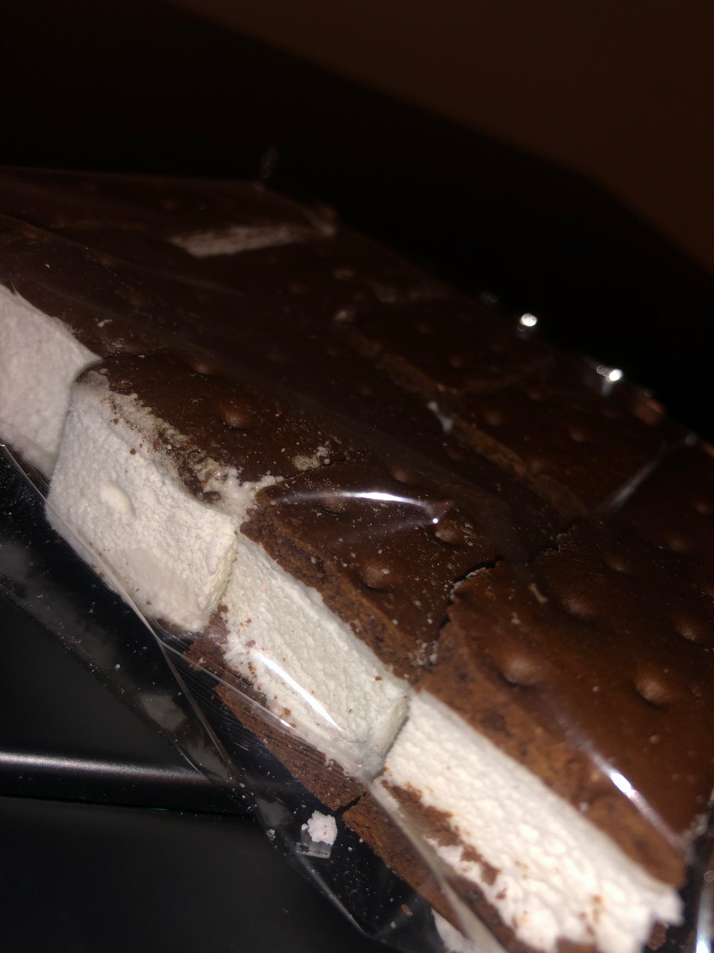 freeze dried ice cream sandwich